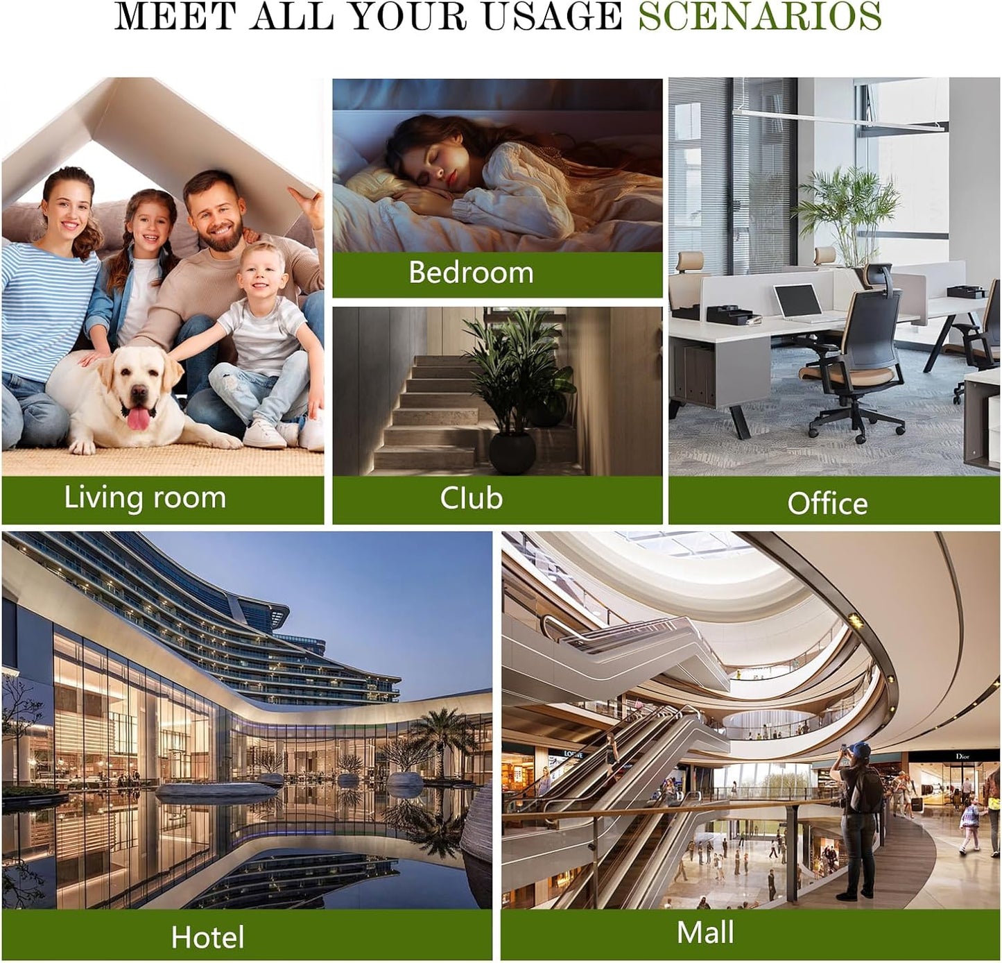 Hotel Waterless Diffuser Oil Clove Cedar, Essential Scent Oil Usage Cold Air Waterless Diffuser, Luxury Scents Oils Fragrance Bottle120 ML Home Natural Flavour