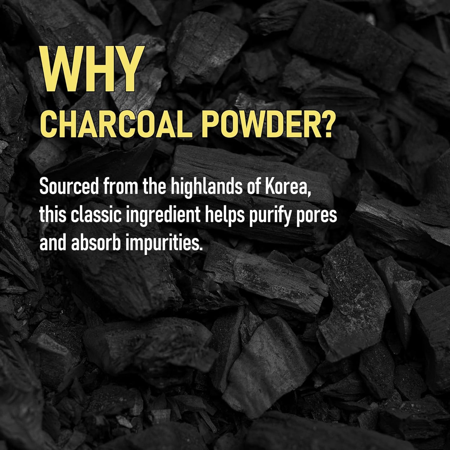 Break Pore Cleansing Pack to Foam โ 3-in-1 Korean Skin Care Wash-Off Mask & Exfoliator & Cleanser w/Charcoal and Salicylic Acid โ AHA, BHA, PHA for Oily, Congested Skin (3.38 fl oz)