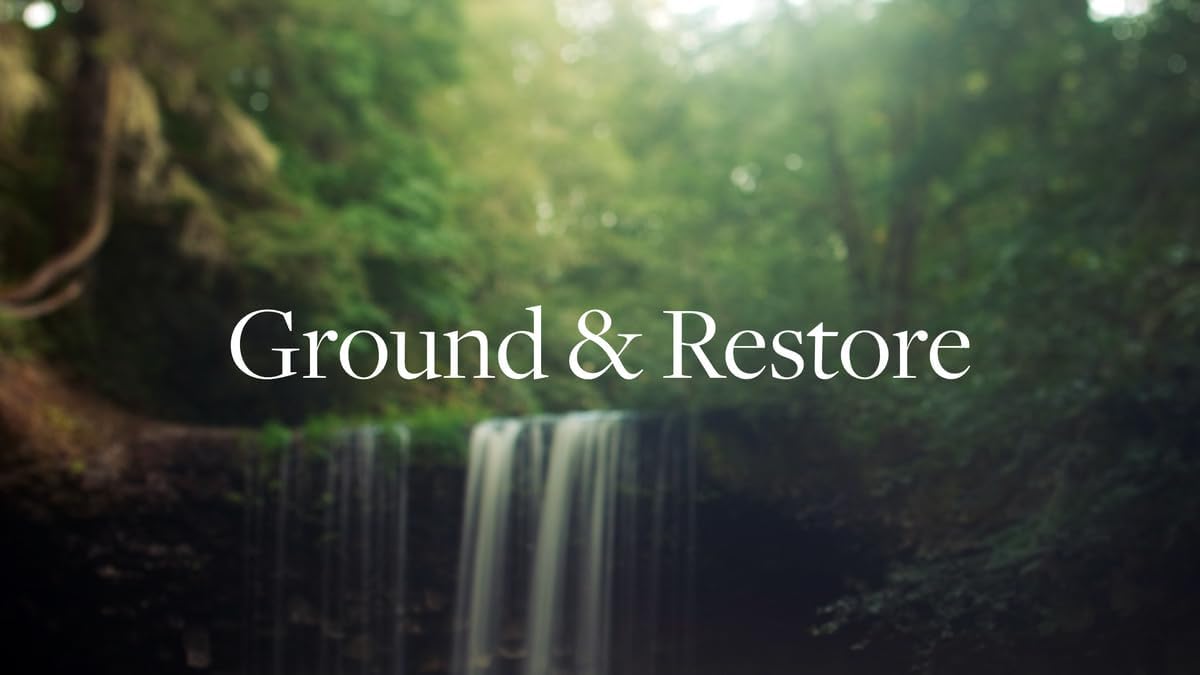 Aera Mini Forest Therapy Essential Oil Aromatherapy Home Fragrance Scent Refill - Notes of Pink Pepper, Cypress and Ho Woods - Works with Aera Mini Diffuser, Mini Scent Capsule Size