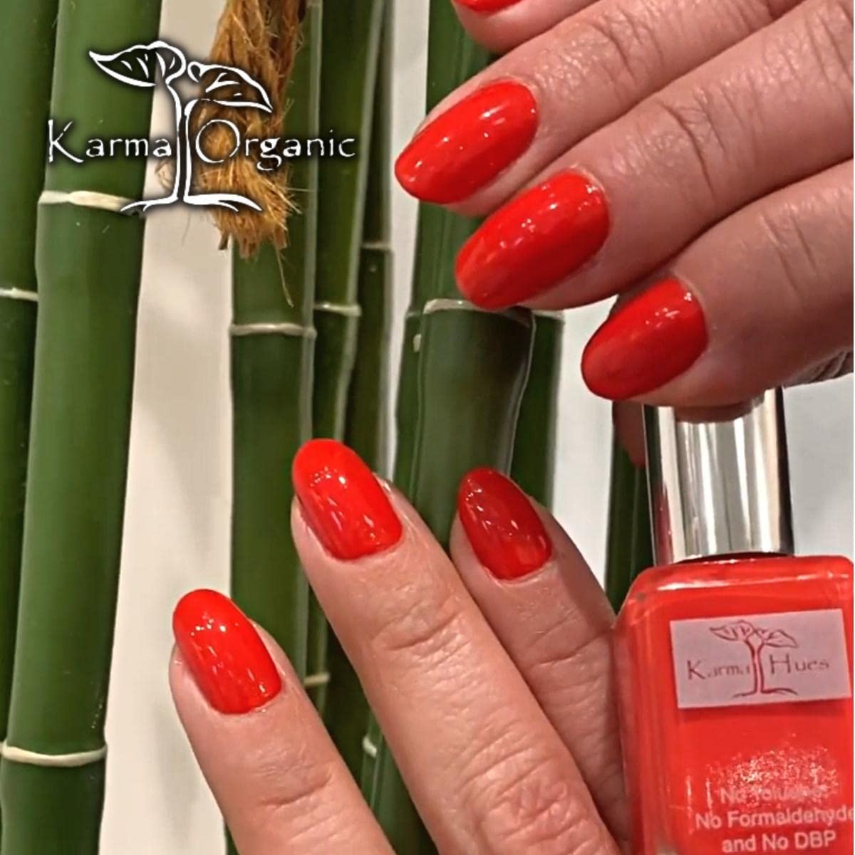 Karma Organic Nail Polish - Quick Dry Nail Lacquer, Non-Toxic, Vegan, and Cruelty-Free Nail Paint Art for Adults & Kids - (Lucy Red, 0.43 fl oz.)