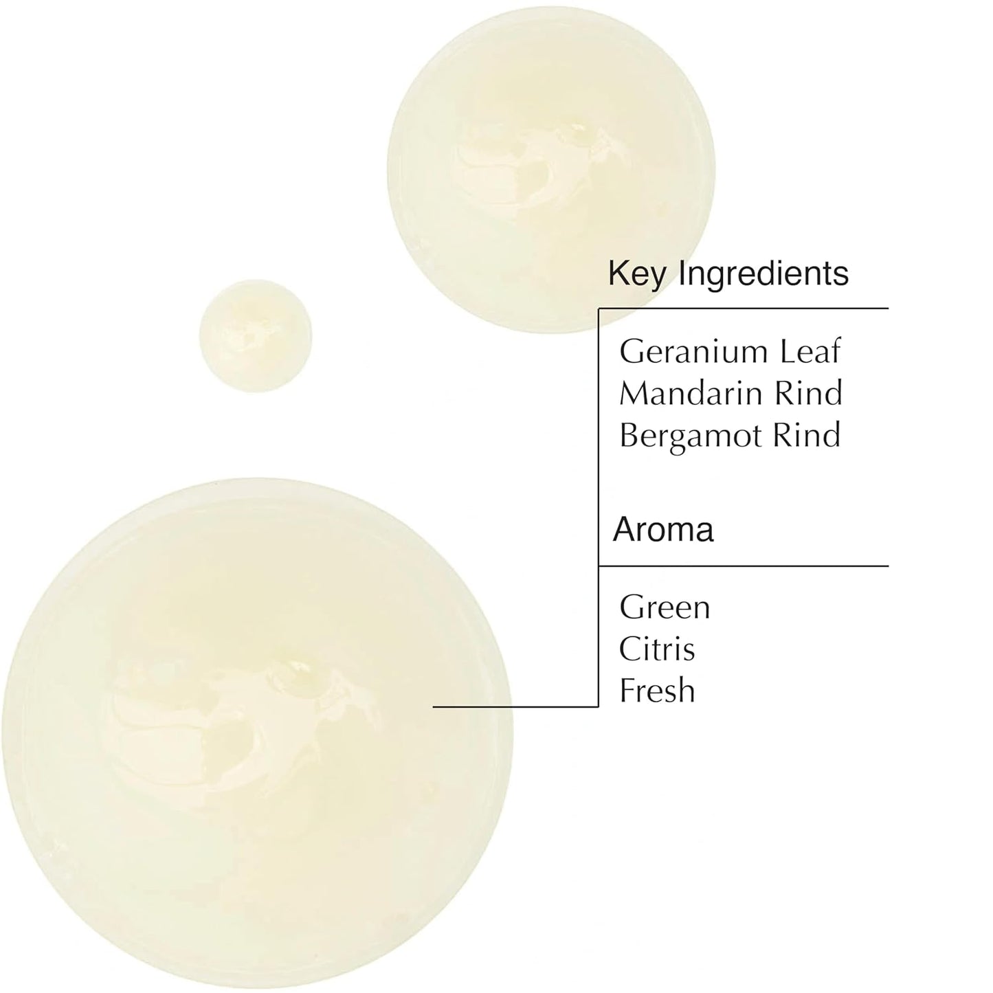 Aesop Geranium Leaf Body Cleanser | For All Skin Types To Cleanse Without Drying Out | Geranium Leaf, Mandarin Rind, Bergamot Rind | 16.9 oz / 500mL