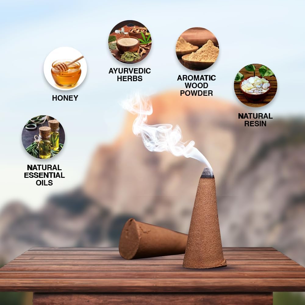 ARO VATIKA Vedic Natural Masala 120 Incense Cones in Pack of 12 Boxes |12 Assorted Fragrances Dhoop Cones | Best for Prayer, Reiki, Meditation and Relaxation | Burn time- 25 Mins