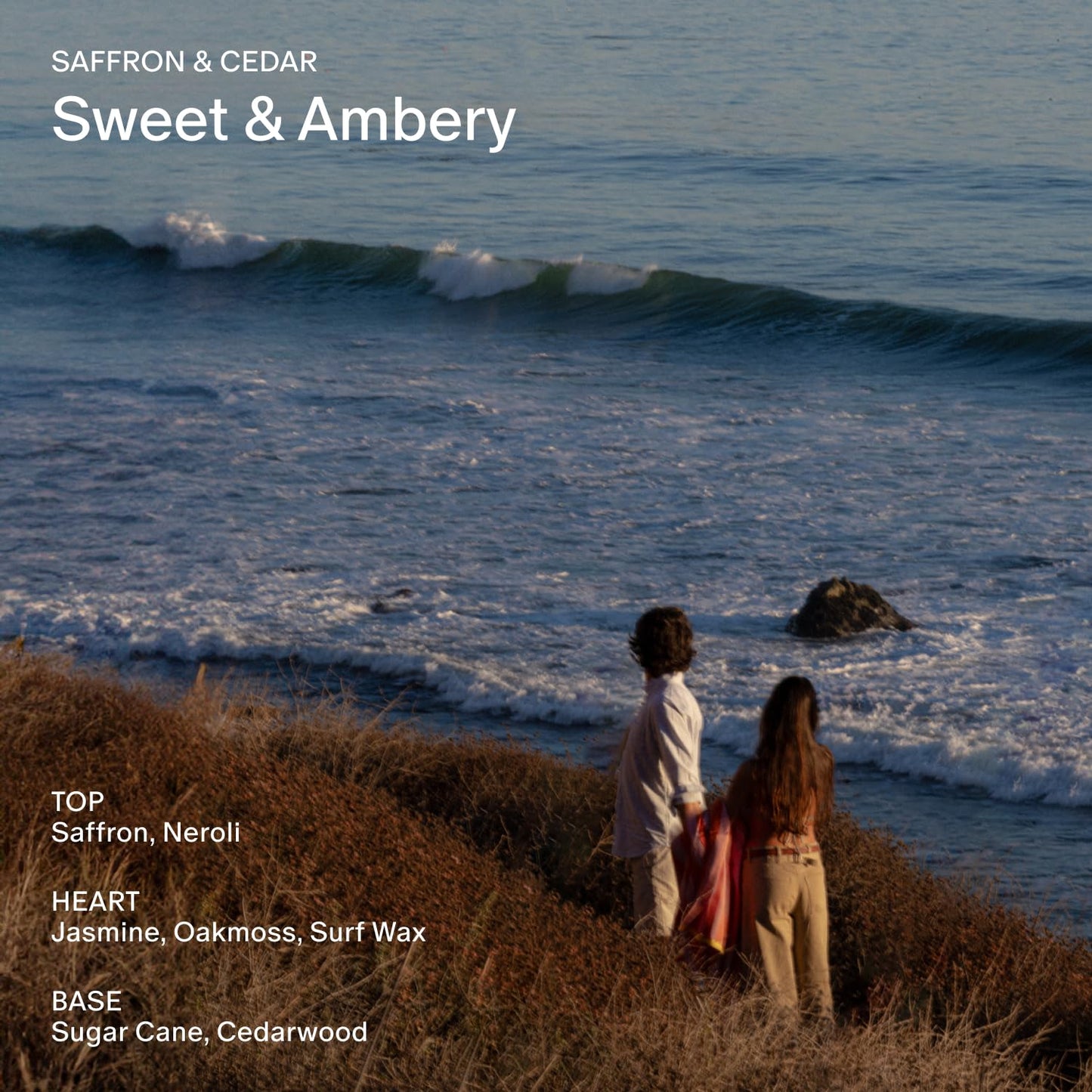 Salt & Stone Body Lotion for Women & Men | Hydrates, Nourishes & Softens Skin | Restores Dry Skin | Fast-Absorbing | Cruelty-Free & Vegan (Saffron & Cedar - 15.2 fl oz)