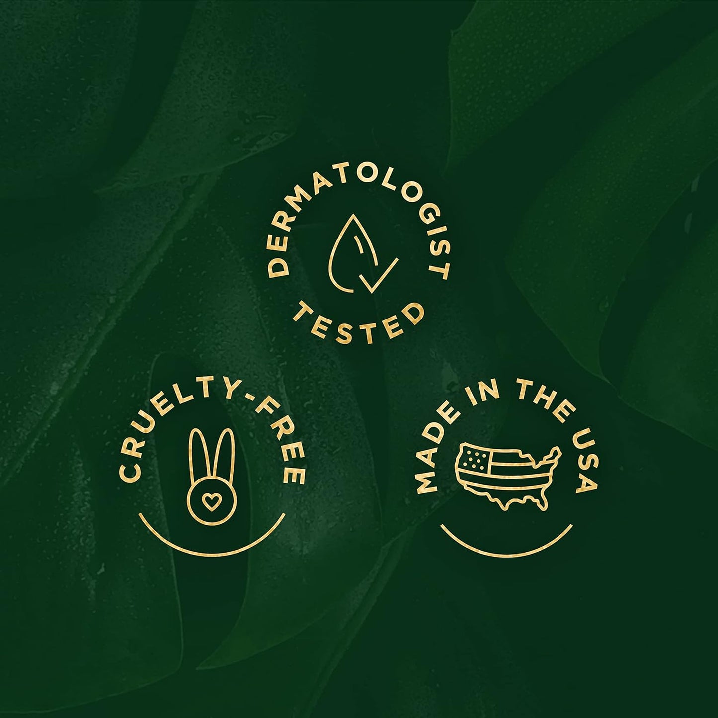 Tree of Life Anti-Aging Eye Treatment Gel Cream to Hydrate Dark Circles and Reduce Puffiness, Bags and Wrinkles, Luxe Eyebright Gel with Amino Acids