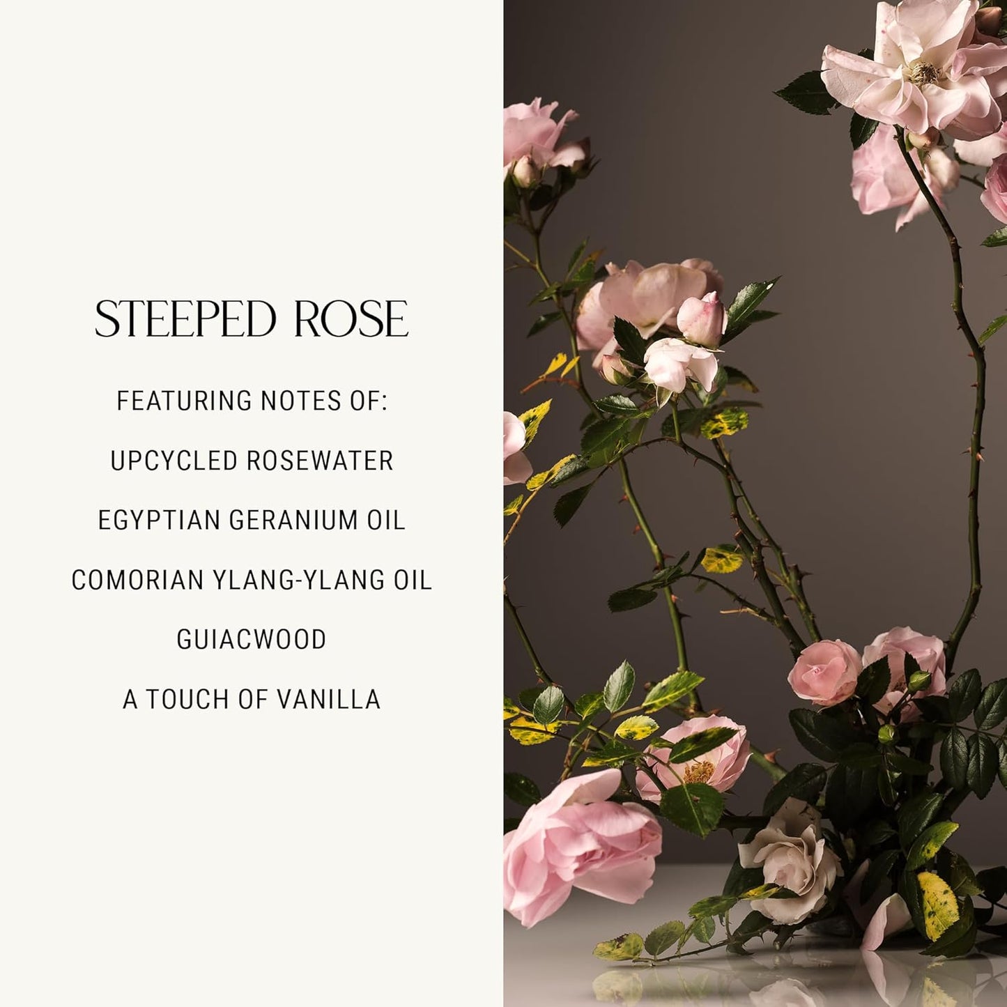 Homecourt Hand Cream, Non-Greasy Moisturizer for Hydrated, Nourished & Soft Hands, Dermatologist Tested, Clean Formula, Steeped Rose, 12 fl oz