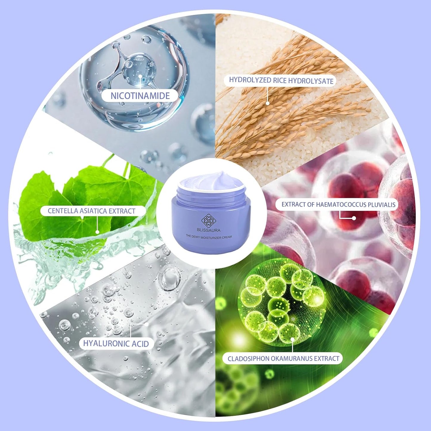 Dewy Skin Cream Moisture Surge Face Moisturizer Water Cream for Women with Purple Rice & Hyaluronic Acid - Rich Face Cream to Hydrate, Plump and Protect Dry and Combo Skin 50ml/1.7 fl oz