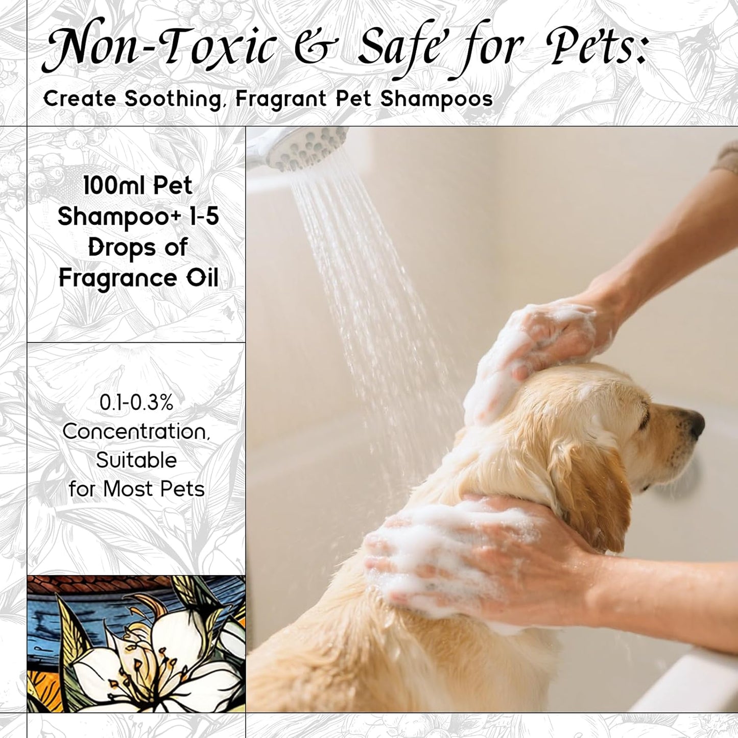 HIQILI Camellia and Orchid Fragrance Oil for Candle, Soap and Perfume Making, Add to Shampoo & Body Lotion, Floral Scents- 1 Fl Oz