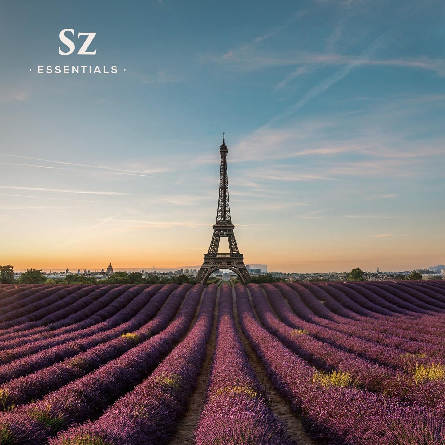 Grasse Lavender Essential Oil - France - Beautiful Floral Lavender Scent with Pine Notes - Lavandula stoechas - 100% Pure & Undiluted - Aromatherapy- Therapeutic Grade & Vegan 0.22 oz